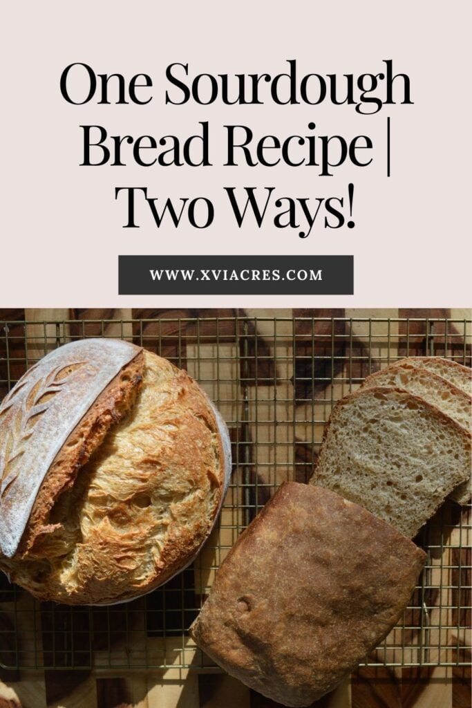 Two loaves of sourdough bread with text