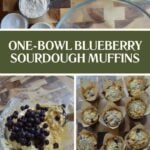 Sourdough Blueberry Muffins