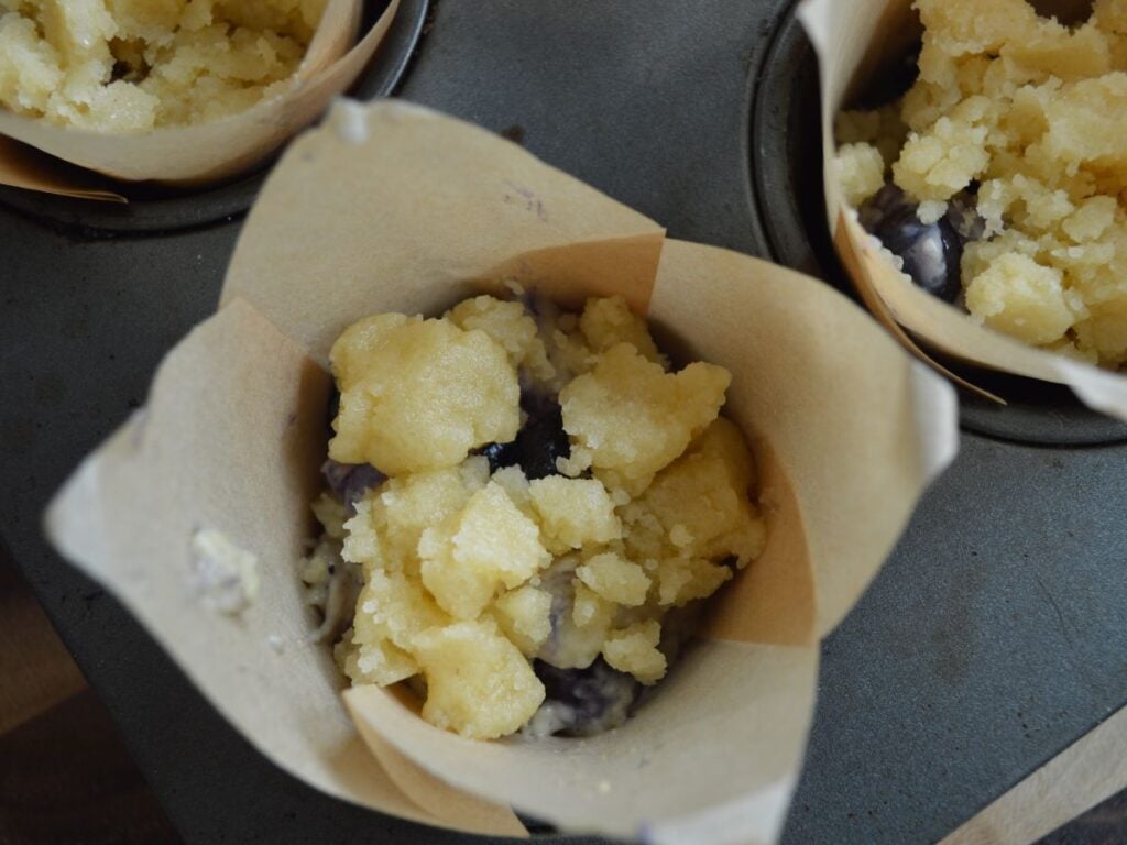 sourdough blueberry muffin ready to be baked