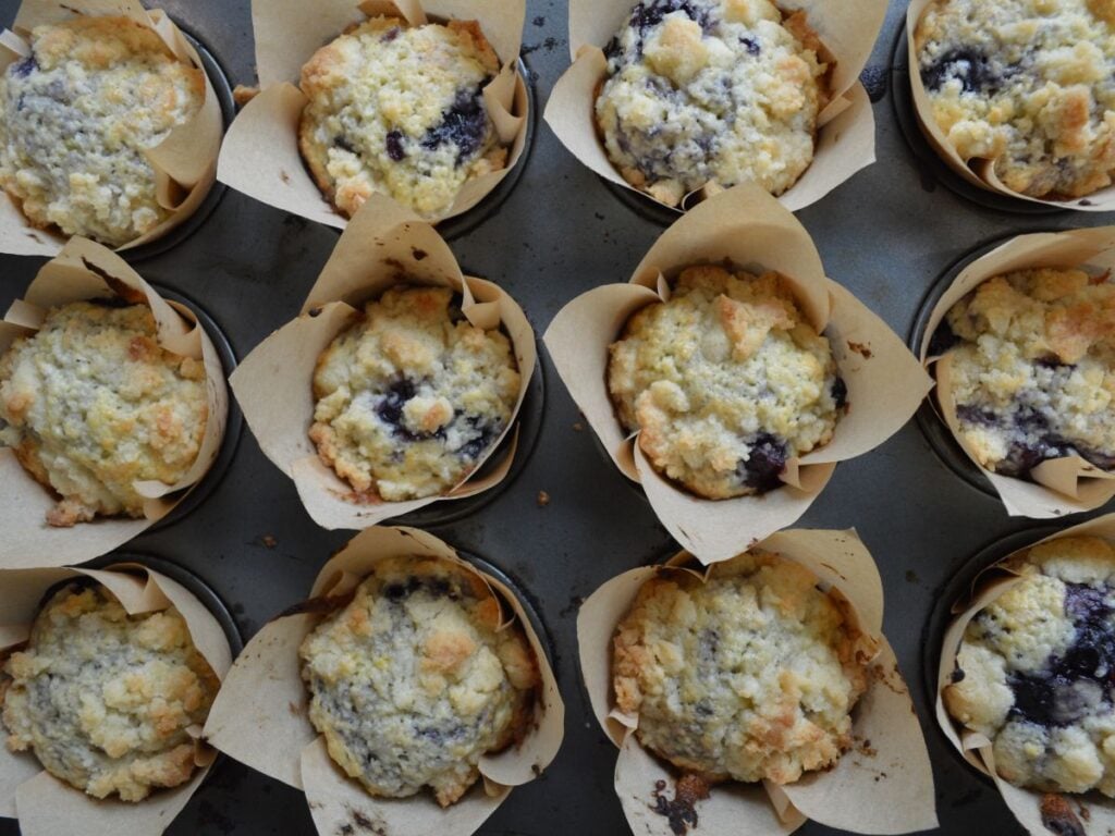 Sourdough muffins baked sitting in muffin tin