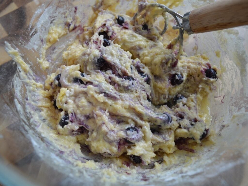 blueberries mixed into sourdough muffin batter