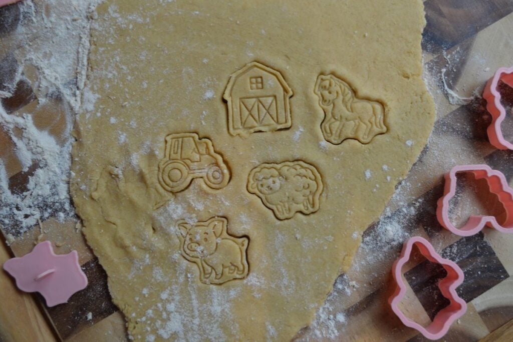 Animal cookie cutter cut outs in sourdough cookie dough