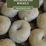 Homemade sourdough bagels with test for title