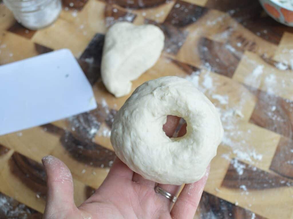hand holding shaped sourdough bagel