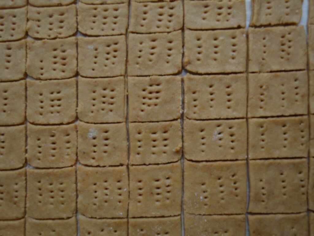 A close up of a square of crackers