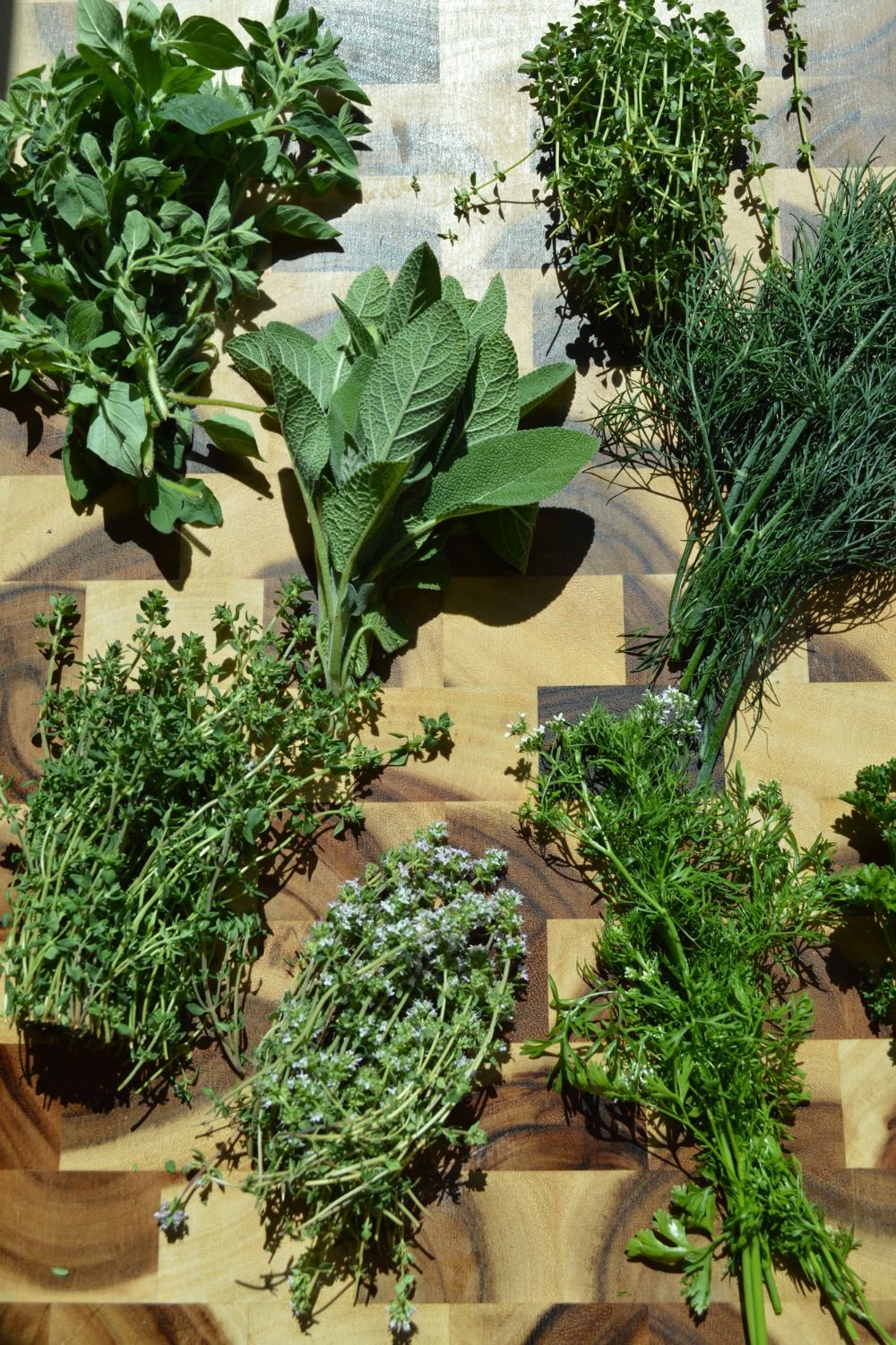 Herbs laid out